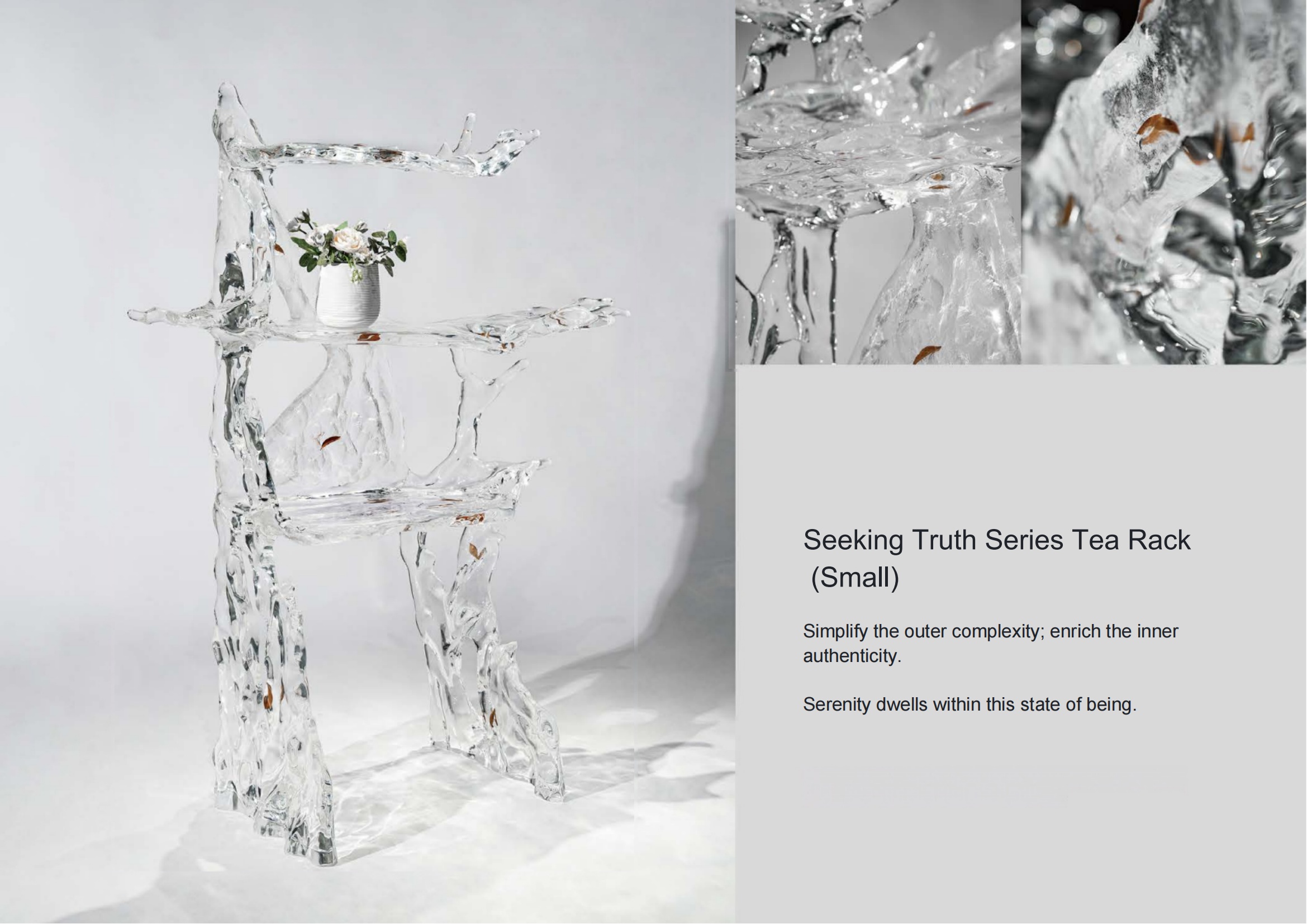 Seeking Truth Series Small